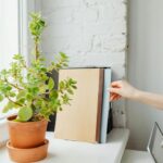 Tips for Creating a Sustainable and Organised Home Workspace