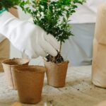 Tips for Creating a Sustainable and Eco-Friendly Home Garden